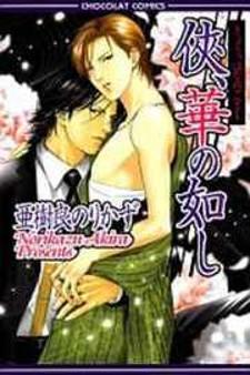 Kyou, Hana No Gotoshi